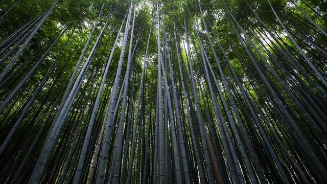 官方公告环境里的高防服务器实测记录与长期维护建议 089