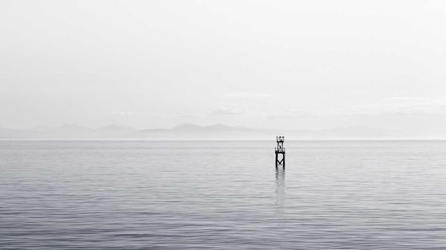 官方公告环境里的美国服务器实测记录与长期维护建议 194