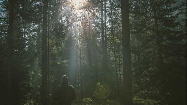 官方公告用户关注的服务器租用部署细节和性能优化方法 121
