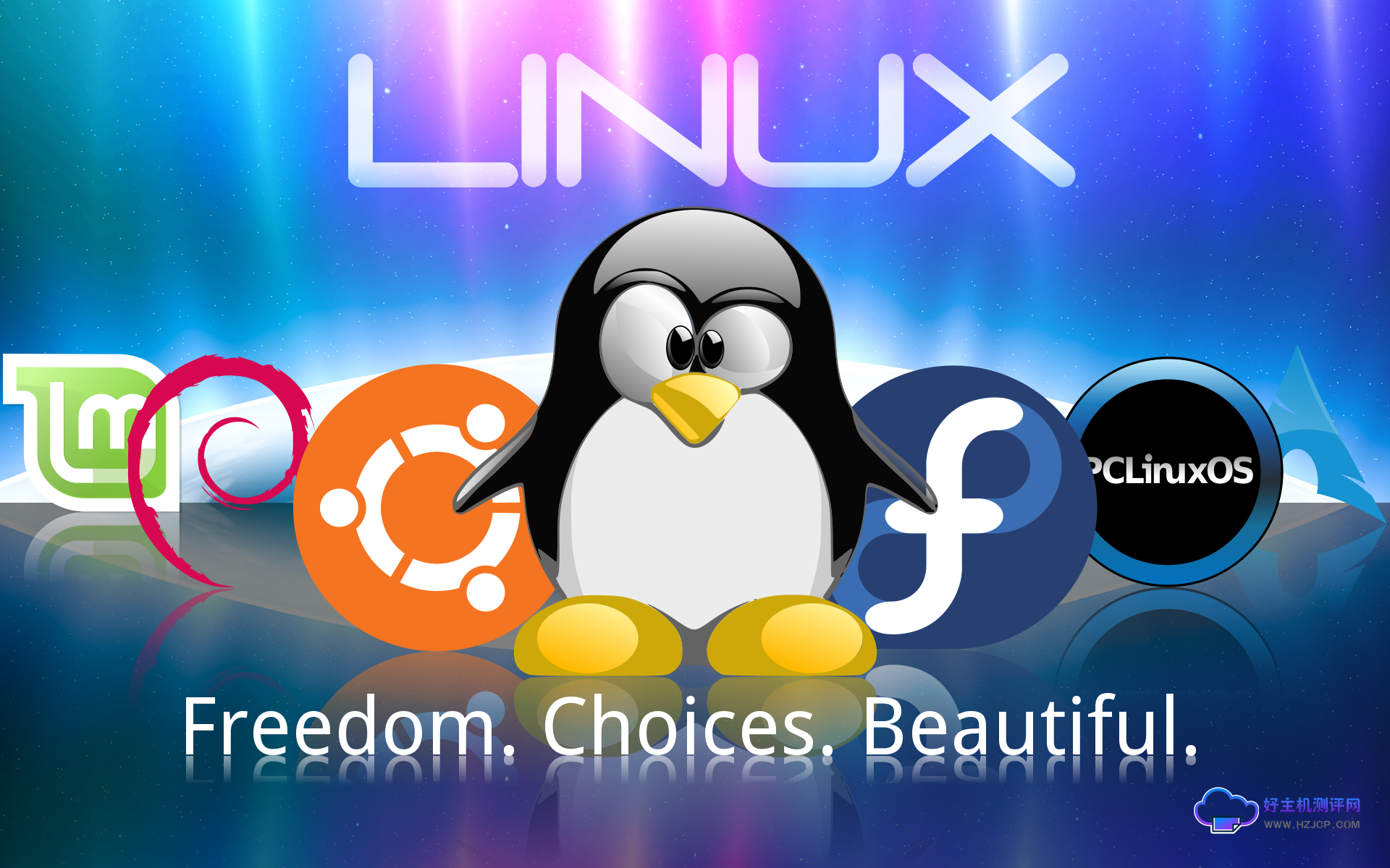 Linux服务器的概述及其在企业和个人用户中的普及程度