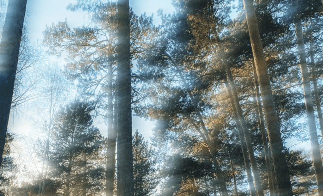 20240611133434976 20240611133434976