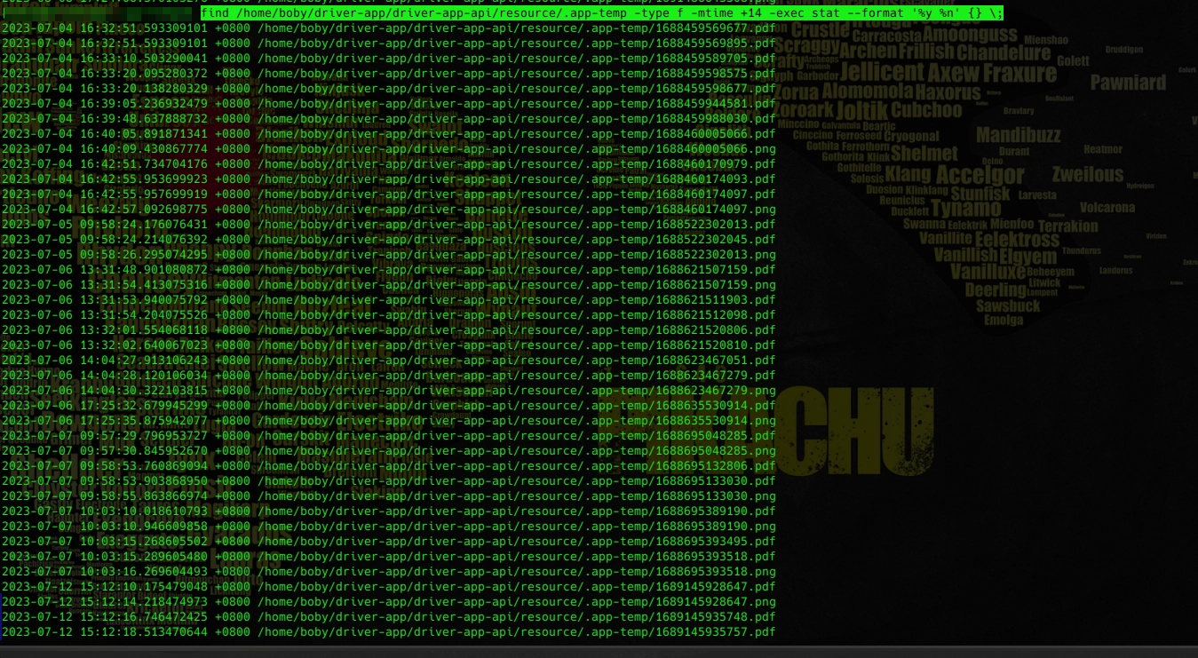 20250227184951389 20250227184951389