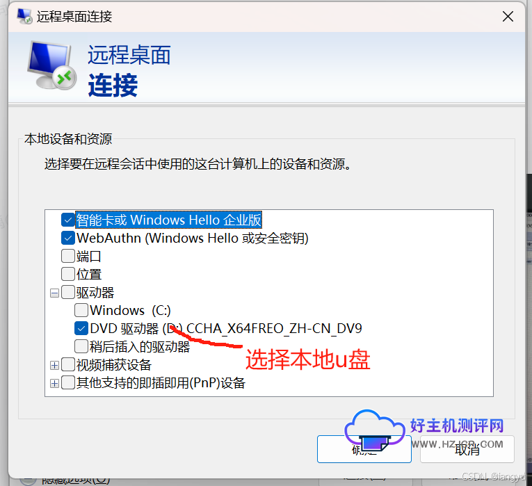 Windows远程服务器中如何使用本地电脑U盘或本地硬盘？